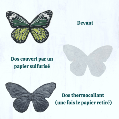 Sur un fond gris clair se trouvent 3 papillons. Le 1er en haut à gauche est vue de face. Il y est noté "devant" à côté. En dessous, sur le côté droit se trouve la forme d'un papillon en papier blanc. Il s'agit de l'envers du papillon. Il est écrit "Le dos est recouvert par un papier sulfurisé". En bas à droite, on voit la forme d'un papillon en noir, avec un film légèrement brillant dessus. Il s'agit du "dos thermocollant (une fois le papier retiré)".
